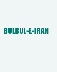 Bulbul-e-Iran