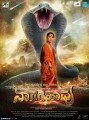Nagarahavu Movie Poster