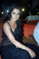 Celina jaitley