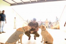 Darshan thoogudeep with dogs