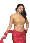 Gayatri jayaraman