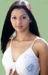 Gayatri jayaraman