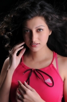 Hamsa nandini