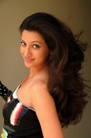 Hamsa nandini