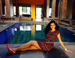 Hamsa nandini