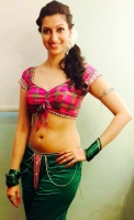 Hamsa nandini