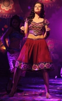 Hamsa nandini