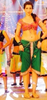 Hamsa nandini