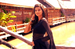 Hamsa nandini