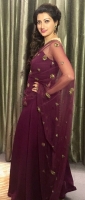 Hamsa nandini