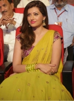 Hamsa nandini