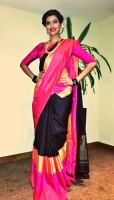 Hamsa nandini
