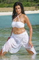Hamsa nandini