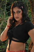 Keerthi chawla
