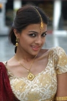 Kirat bhattal