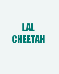 Lal Cheetah