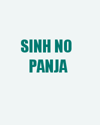 Sinh No Panja