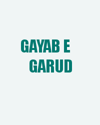 Gayab e Garud