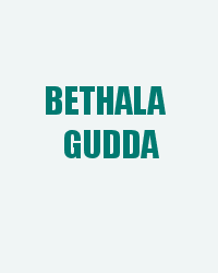 Bethala Gudda