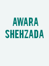 Awara Shehzada