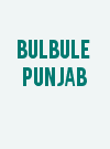 Bulbule Punjab