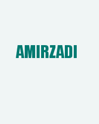 Amirzadi
