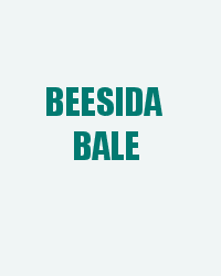 Beesida Bale